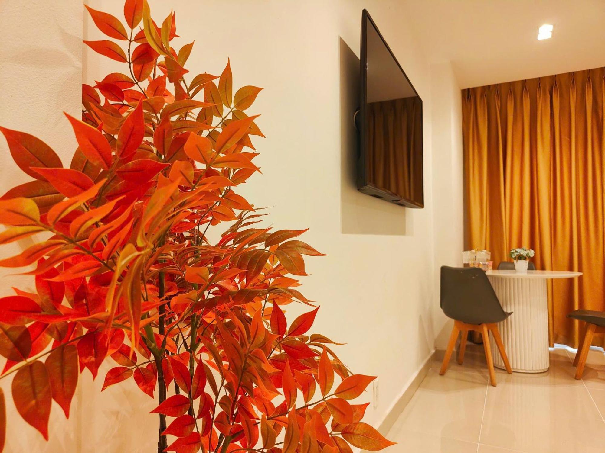 Căn hộ Ho 1 Phong Ngu Luxury Gan San Bay *